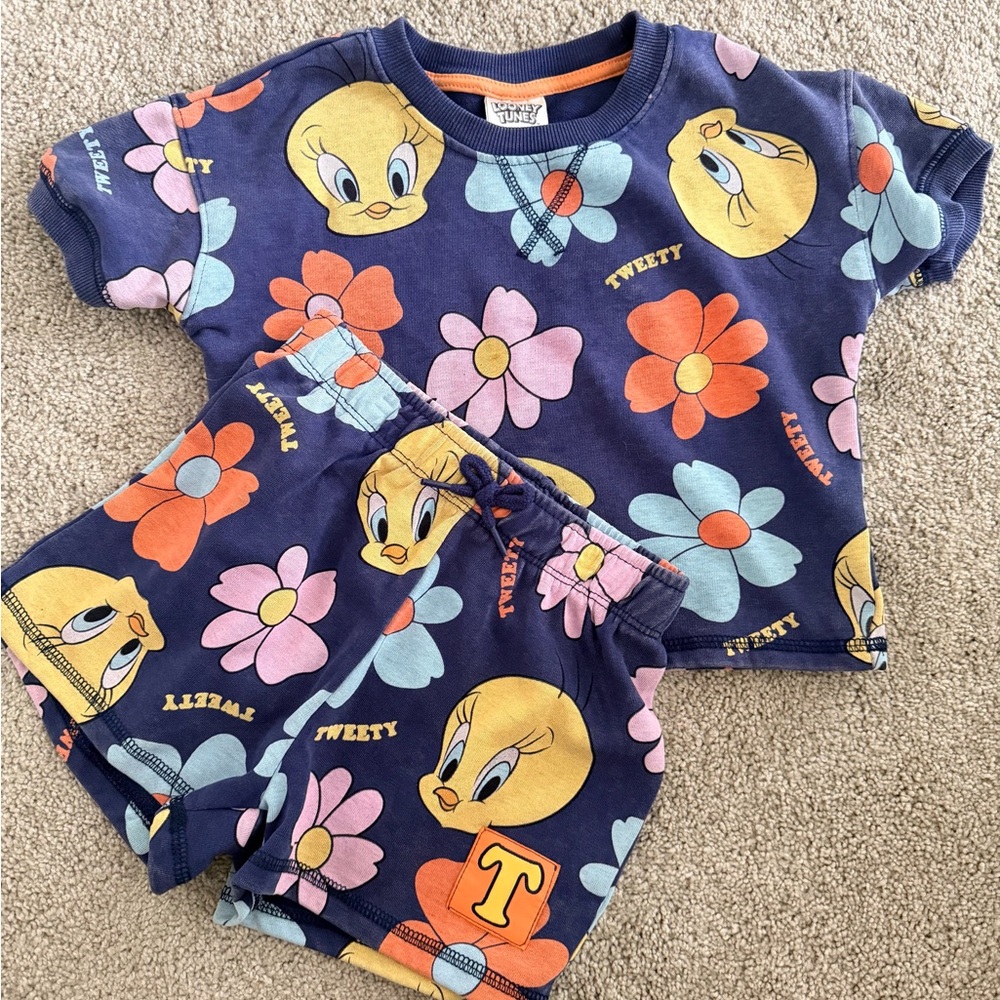 Looney Tunes Set